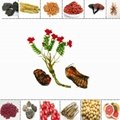 Water Soluble Rhodiola Rosea Powder Extract, Rhodiola Rosea Extract 3