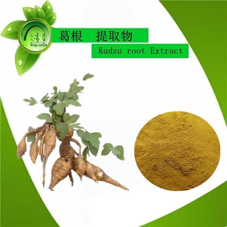 Supply high natural pueraria mirifica powder kudzu root extract powder