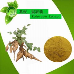 Supply high natural pueraria mirifica powder kudzu root extract powder