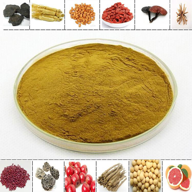 Supply high natural pueraria mirifica powder kudzu root extract powder 4