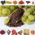  Cosmetics Ingredient Grape Seed Extract powderOPC Procyanidine 3