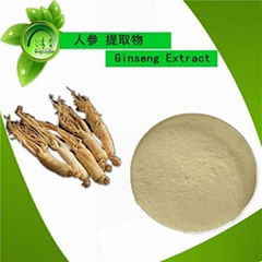 PURE  Panax Ginseng Extract Powder 80% Ginsenosides Energy & Vitality