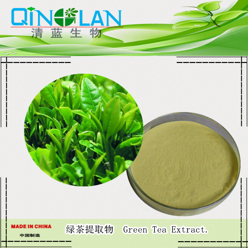PURE Green Tea Extract Powder 90% Polyphenols 50% EGCG Premium Grade Antioxidant