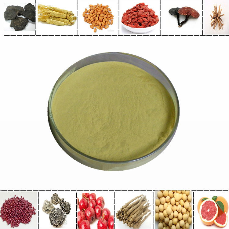 PURE Green Tea Extract Powder 90% Polyphenols 50% EGCG Premium Grade Antioxidant 2