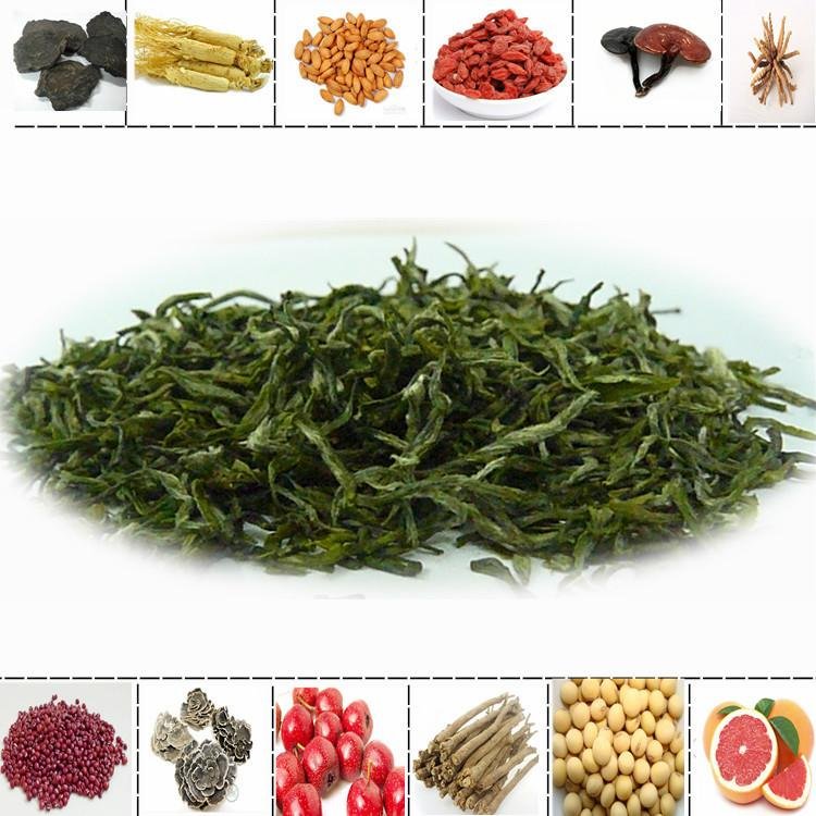 PURE Green Tea Extract Powder 90% Polyphenols 50% EGCG Premium Grade Antioxidant 3