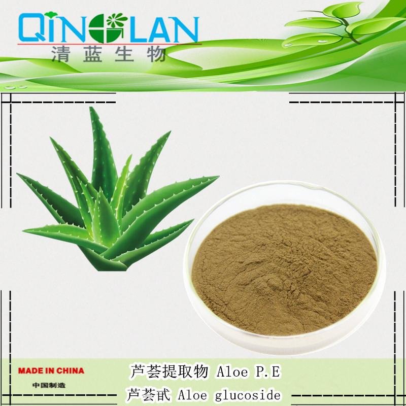 100% PURE Aloe Vera 200:1 Natural Leaf Gel WHITE Extract Powder Extreme Potency 2
