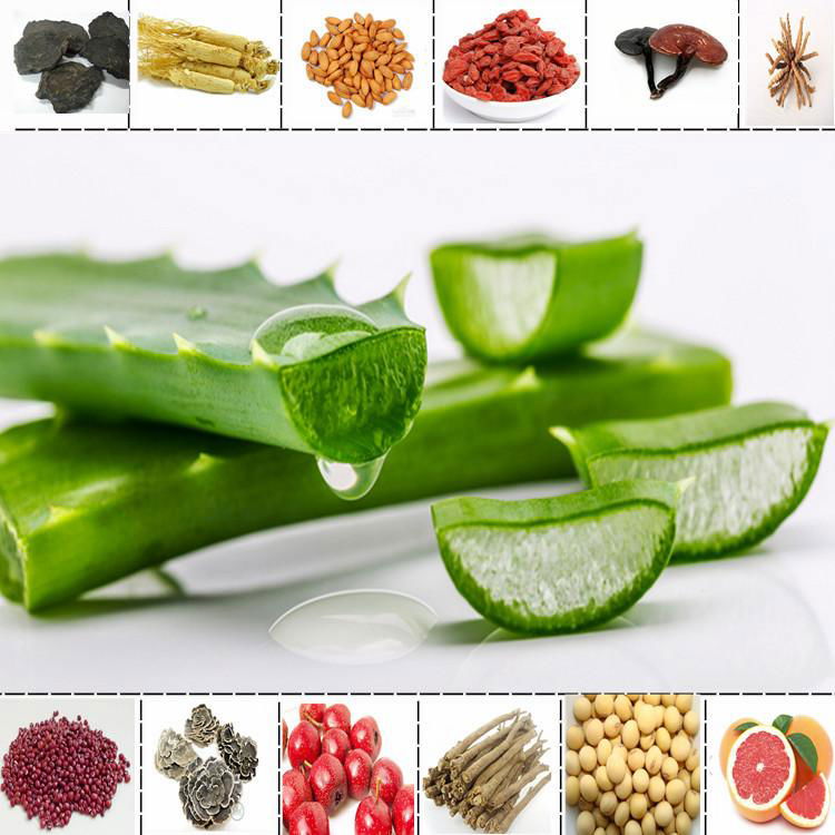100% PURE Aloe Vera 200:1 Natural Leaf Gel WHITE Extract Powder Extreme Potency 3