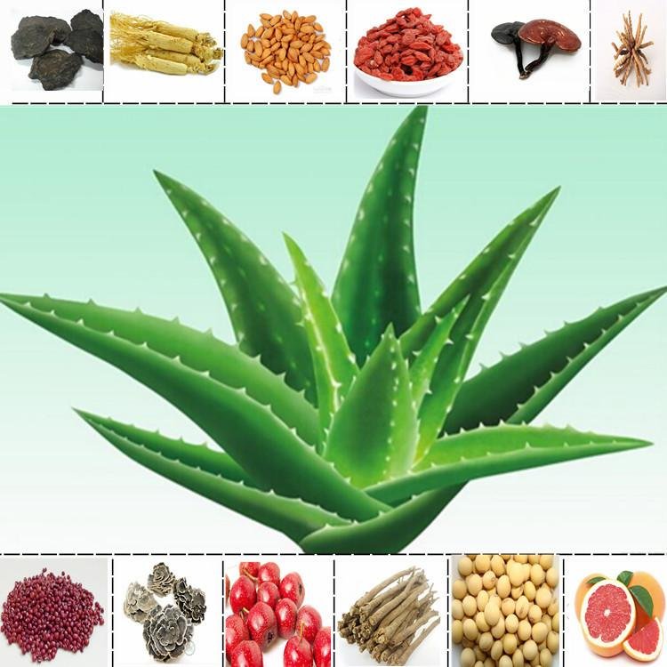 100% PURE Aloe Vera 200:1 Natural Leaf Gel WHITE Extract Powder Extreme Potency 4