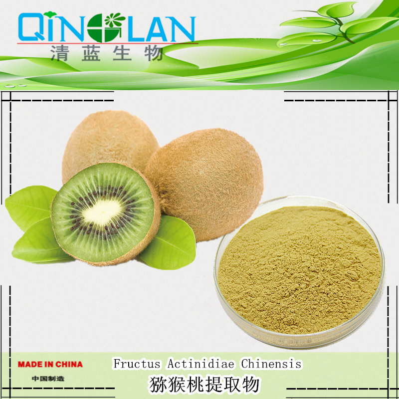 500g Raw Kiwifruit Extract Powder10:1 /Kiwifruit powder for juice/Kiwifruit