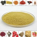 500g Raw Kiwifruit Extract Powder10:1 /Kiwifruit powder for juice/Kiwifruit 2