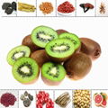 500g Raw Kiwifruit Extract Powder10:1 /Kiwifruit powder for juice/Kiwifruit 3