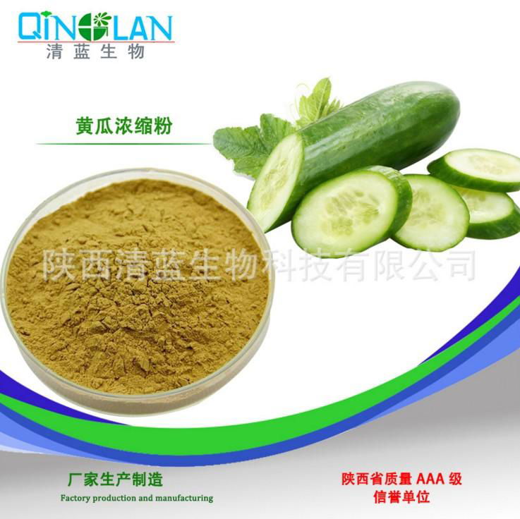 cucumber concentrate extract powder 101 cucumber juice QL1702154667H