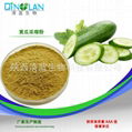 cucumber concentrate extract powder 10:1