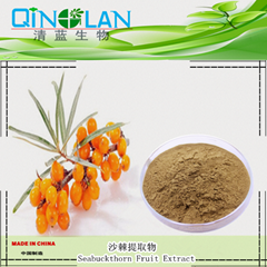 100% Natural Sea Buckthorn Fruit Powder with Good Water-Solubility