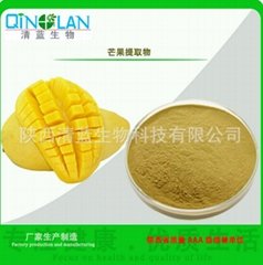Hot Sell 100% Natural Organic Fruit Drink Instant Mango Juice Powder Lo Price Ma