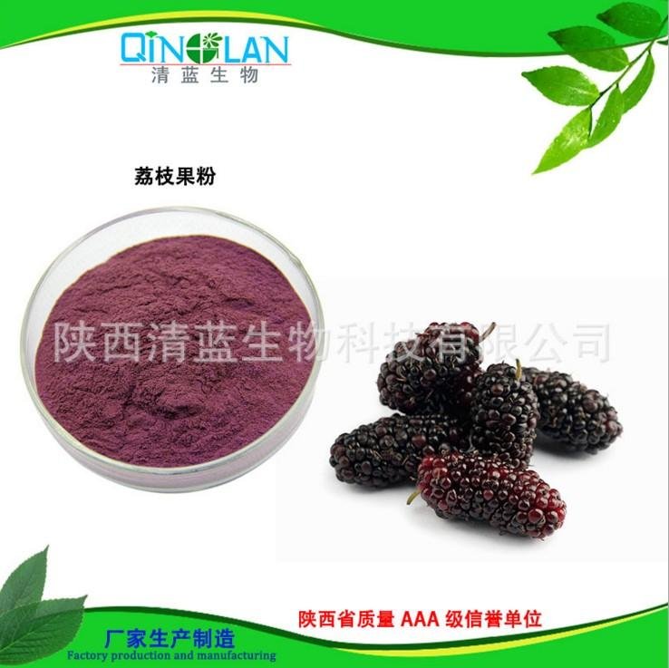 Factory supply Top quality 100% nature mulberry fruit juice powder