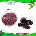 Factory supply Top quality 100% nature mulberry fruit juice powder 1