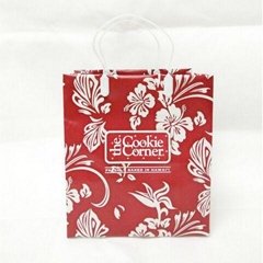Custom Logo Printing Plastic Shopping Loop  Rigid Handle Bag HF010