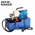 pressure test pump DSY-25 1