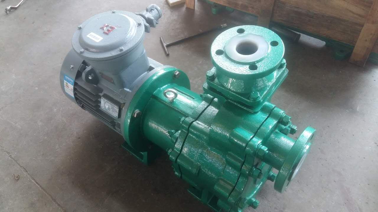 ZMD Series Self-priming Magnetic Pump 2