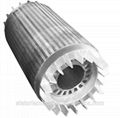 High efficiency motor rotor stamped core lamination 1