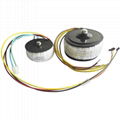 Minature Toroidal Transformer for