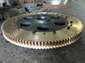 Worm Gear 1