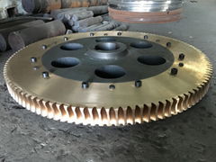 Worm Gear