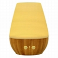 Ultrasonic Aromatherapy Essential Oil Diffuser 3