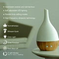 Ultrasonic Aromatherapy Essential Oil Diffuser 1