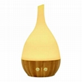 Ultrasonic Aromatherapy Essential Oil Diffuser 3