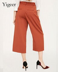 Fashionable Shift Cropped Pants