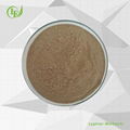 Lyphar Supply 100% Natural Maca Extract Powder 1