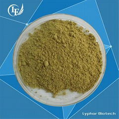 Wholesale 100% Natural Pure Tribulus Terrestris Extract