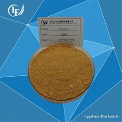 Factory Supply Natural Silymarin Extract Powder