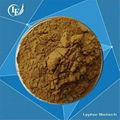 Professional Manufacturer Provide Natural Pomegranate Extract Powder