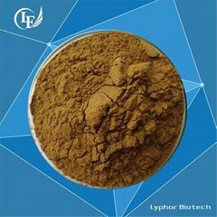 Professional Manufacturer Provide Natural Pomegranate Extract Powder