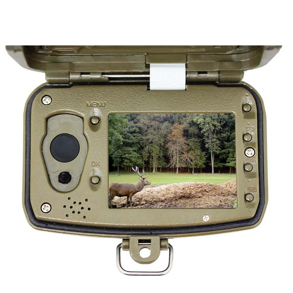 1080p HD GSM Trail Camera LED Game IR Scouting Field Color Cam 4