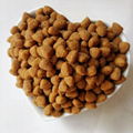 Veterinary Pet Food Dry Dog Food Cat Food 2