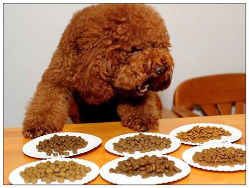 China Supplier Hot Sales Dry Dog Food Pet Food (chicken flavor)