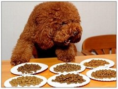 China Supplier Hot Sales Dry Dog Food Pet Food (chicken flavor)
