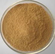 Cordyceps Sinensis Extract Powder Cordycepin 1% 3% HPLC