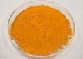 Turmeric extract powder 95% Curcumin 1