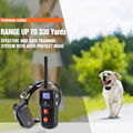 Best Selling Waterproof Electric Dog Shock Collar with Remote 