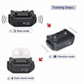 Amazon Best Seller Remote Dog Shock Collar with 2 Collars BT-P021-2 4