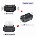 Amazon Best Seller Remote Dog Shock Collar with 2 Collars BT-P021-2