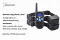 Amazon Best Seller Remote Dog Shock Collar with 2 Collars BT-P021-2 1