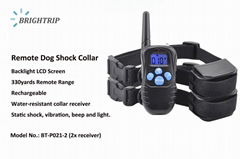 Amazon Best Seller Remote Dog Shock Collar with 2 Collars BT-P021-2