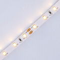 high quality 5050 2835  smd led strip with UL TUV CE RoHS 2