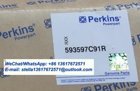 593597C91R Perkins Fuel Injector FG Wilson P200H2 P230H2 P250H2 Gensets Parts